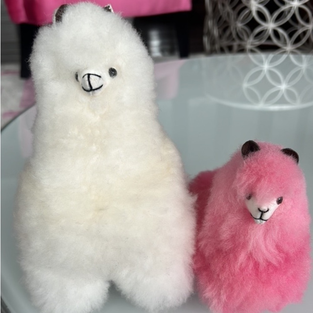 Meet your Posher, Mirka